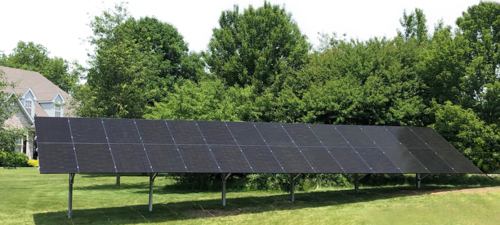 solar panels surrounded by greenary